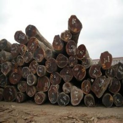 柳桉木防腐木企業(yè)文化交流活動(dòng)在莆田豐獅木材加工廠成功舉辦